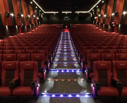 Auditorium Step Light